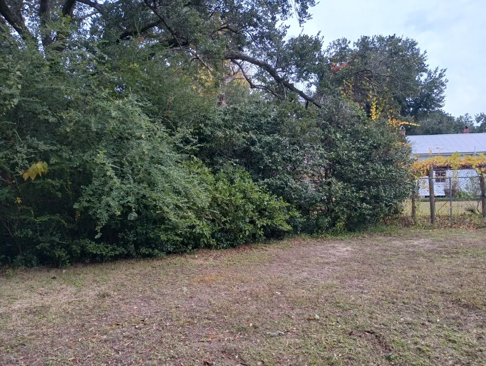 Reliable landscaping services for year-round maintenance in Pace, FL by Eco Heroes