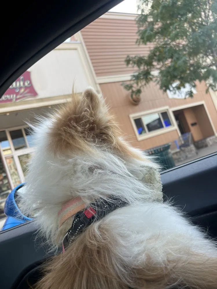 Custom lawn mowing service in Delavan, WI - Eco Home Services