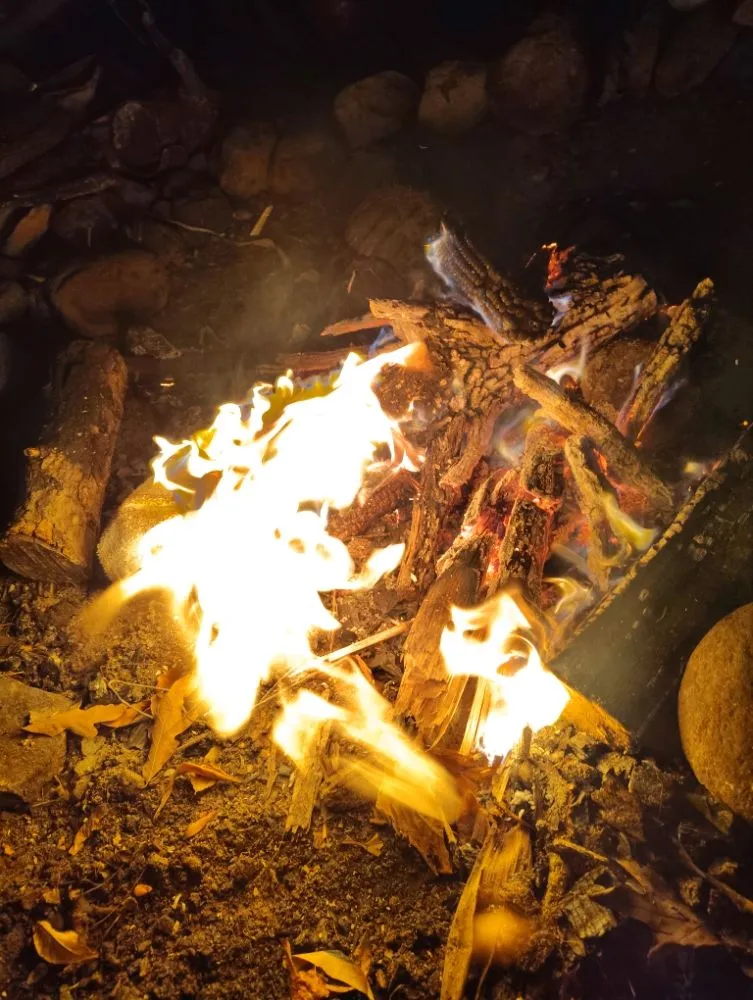 Custom yard maintenance in Delavan, WI - Eco Home Services