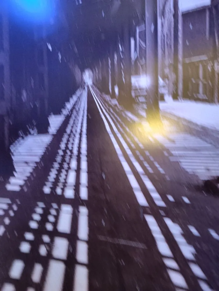 Professional yard maintenance for beautiful yards in Delavan, WI by Eco Home Services