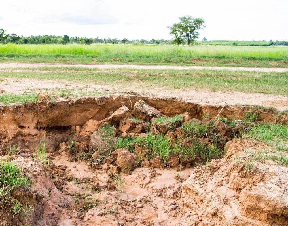 Professional garden landscaping in Aumsville, OR by ECO Hydroseeding