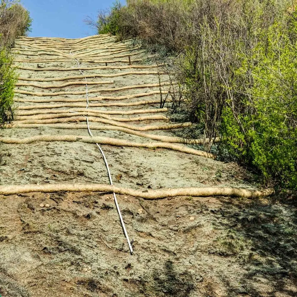 Reliable landscape design experts serving Aumsville, OR - ECO Hydroseeding