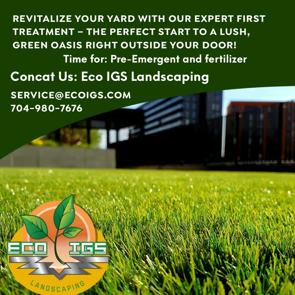 Professional garden landscaping for year-round maintenance in Mooresville, NC by Eco Igs