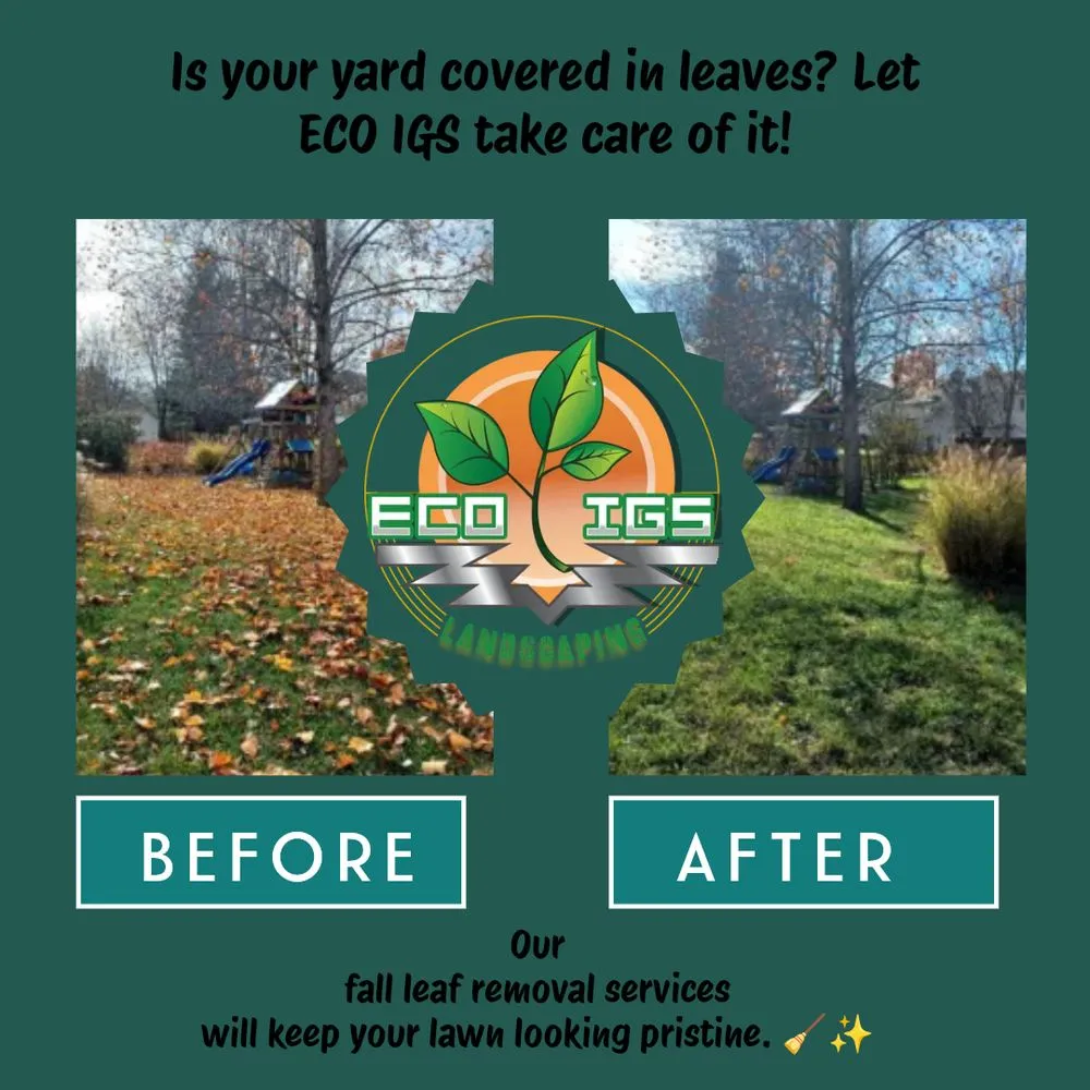 Top-rated landscape installation in Mooresville, NC by Eco Igs