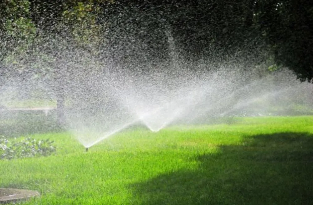 Professional landscape installation in Mooresville, NC - Eco Igs