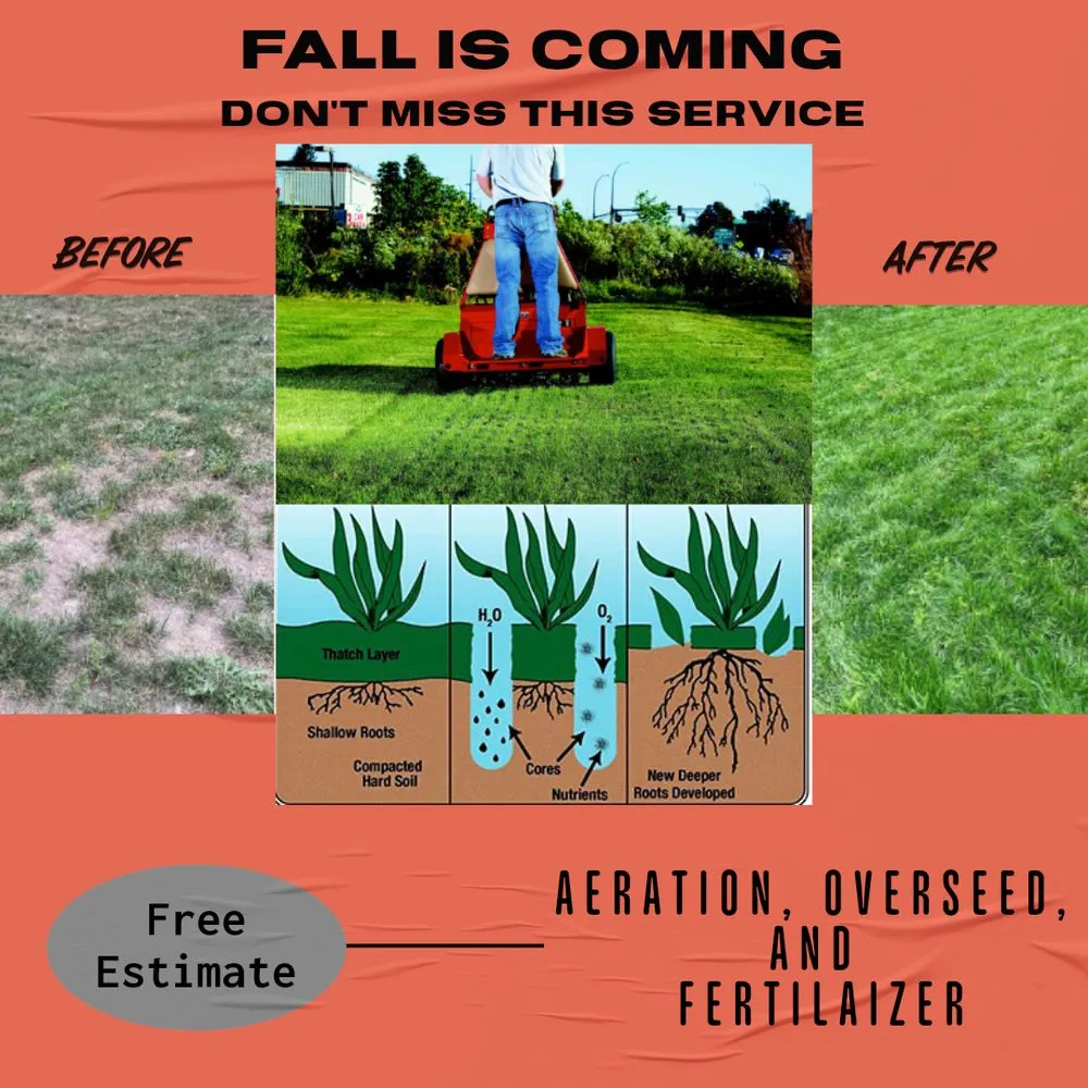 Custom lawn care service for outdoor upgrades across Mooresville, NC - Eco Igs