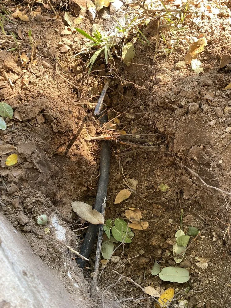 Top-rated landscape installation experts serving Leander, TX - Eco Irrigation and Landscaping