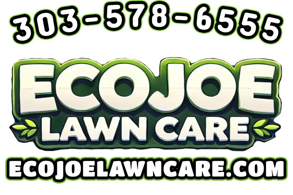 Expert lawn mowing service in Lakewood, CO by Eco Joe Lawn Care