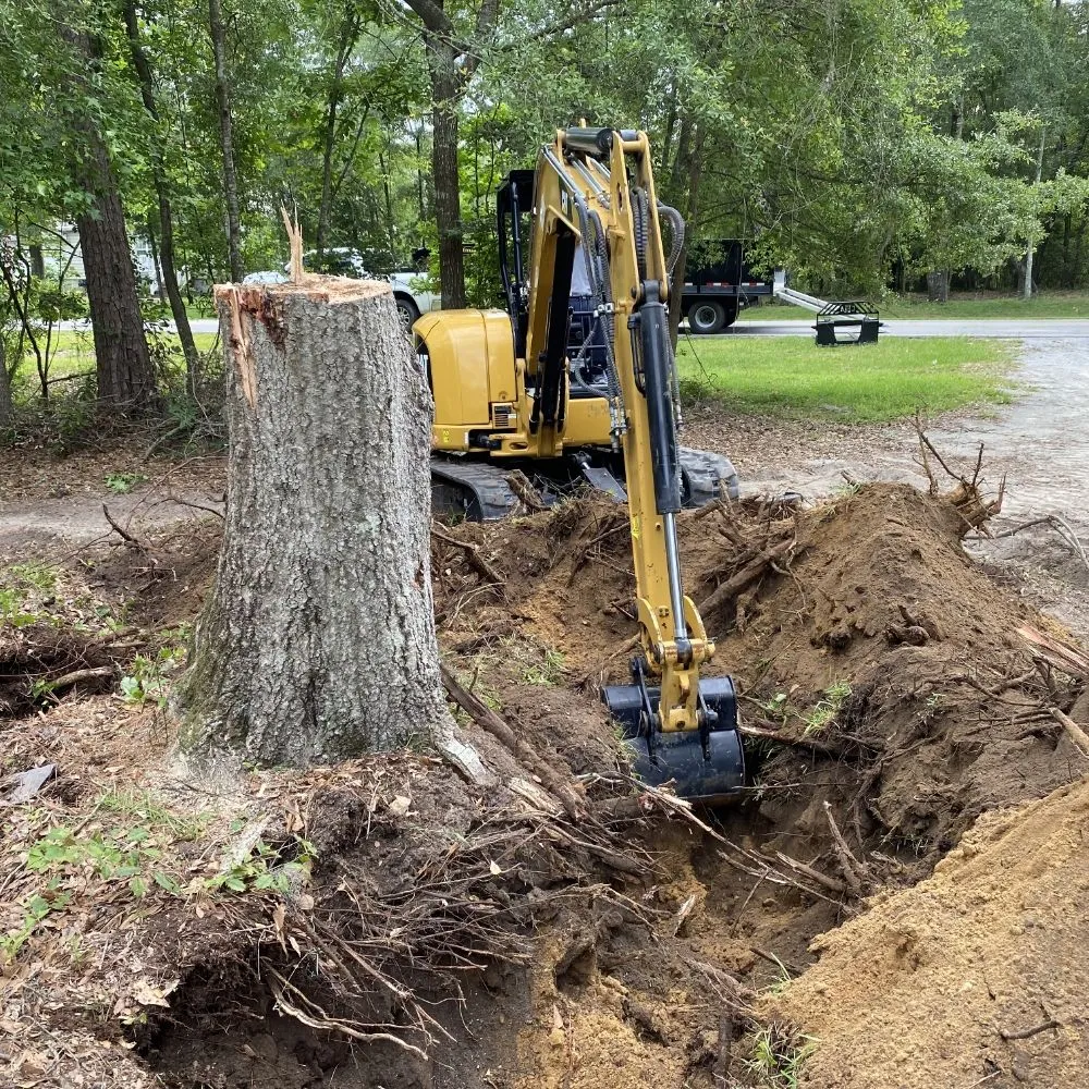 Affordable landscaping services in Dover, NC - Eco land management