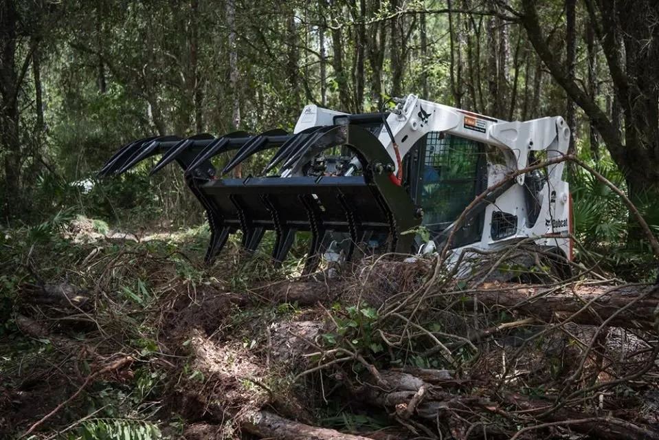 Reliable yard cleanup service experts serving Dover, NC - Eco land management
