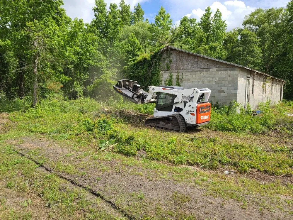 Affordable lawn care service experts serving Dover, NC - Eco land management