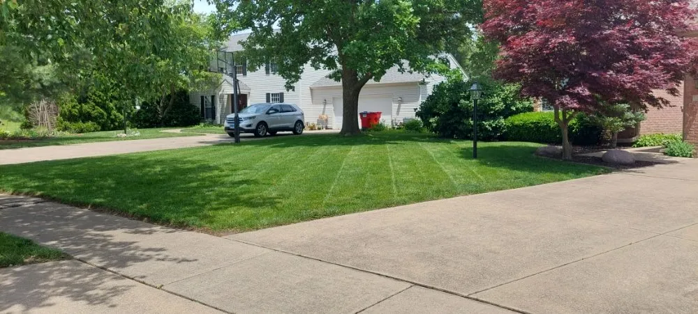 Reliable yard cleanup service in Urbana, IL - Eco-Land Mowing Service