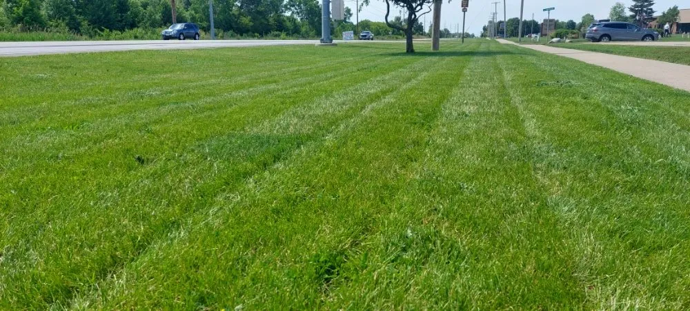 Custom lawn mowing service for beautiful yards in Urbana, IL by Eco-Land Mowing Service