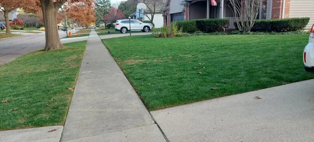 Professional landscape design experts serving Urbana, IL - Eco-Land Mowing Service