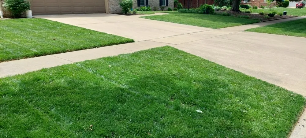 Local landscape installation in Urbana, IL - Eco-Land Mowing Service