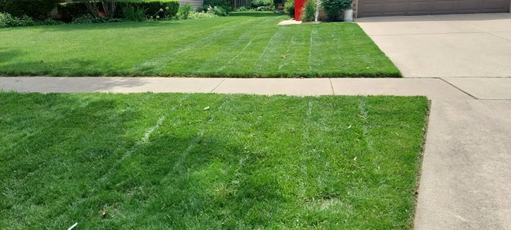 Local landscape design for outdoor upgrades in Urbana, IL by Eco-Land Mowing Service