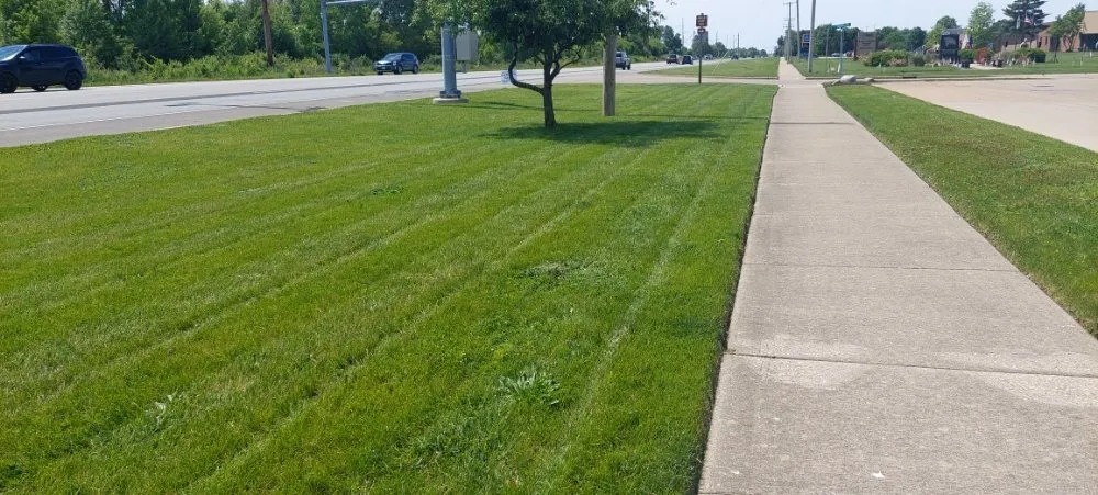 Top-rated outdoor landscaping in Urbana, IL by Eco-Land Mowing Service