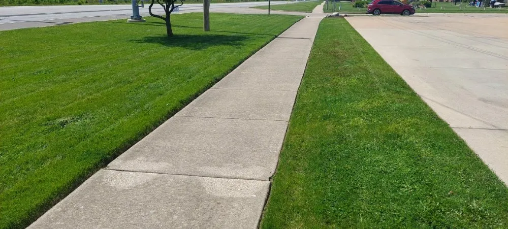 Professional yard cleanup service in Urbana, IL by Eco-Land Mowing Service