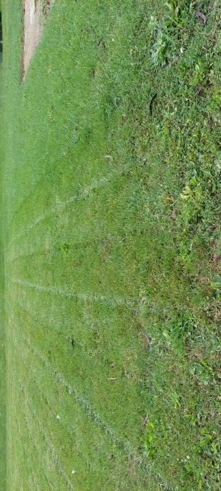 Trusted landscape design for residential properties in Urbana, IL by Eco-Land Mowing Service