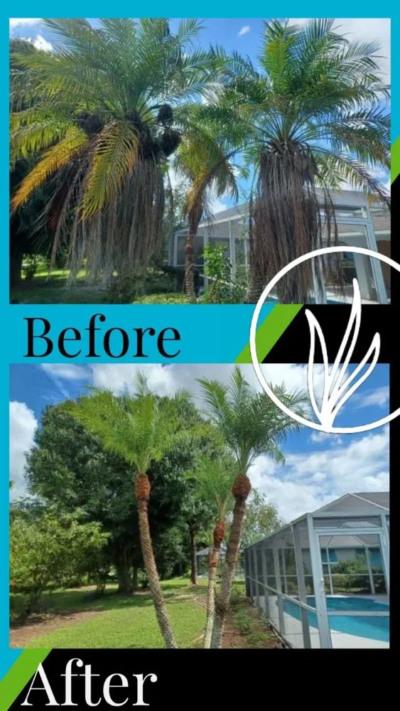 Professional lawn care service in Arcadia, FL by Eco Land Scapers