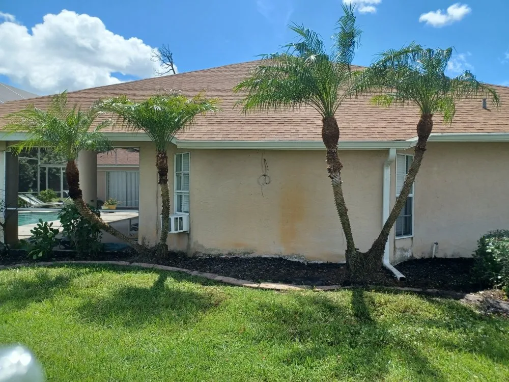 Trusted residential landscaping in Arcadia, FL - Eco Land Scapers