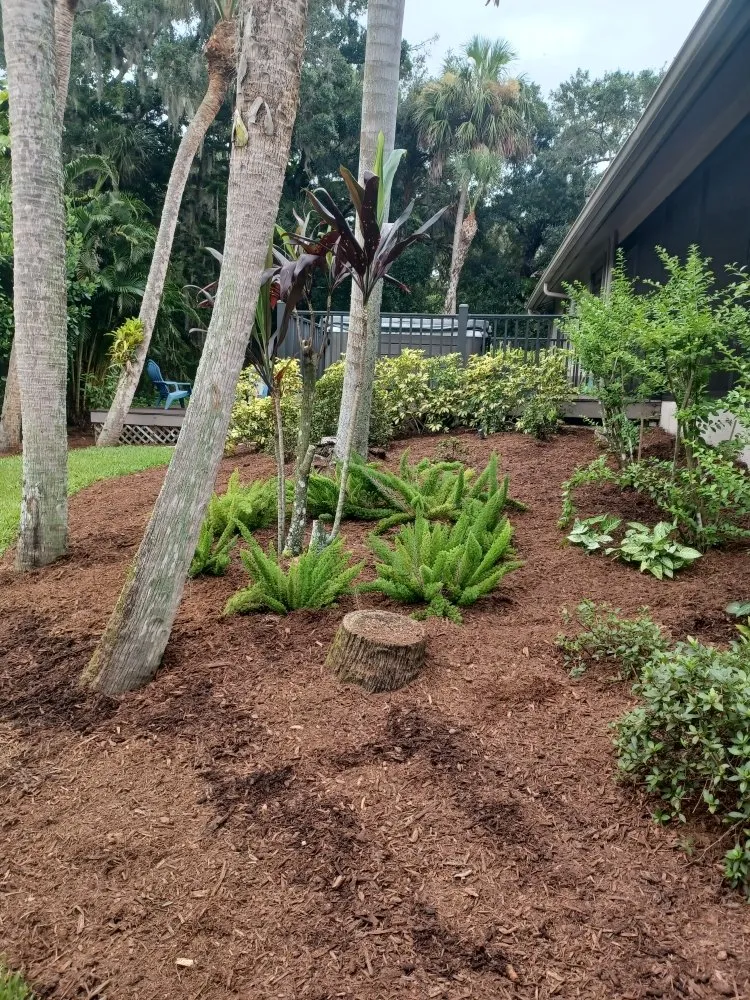 Affordable landscape design for residential properties in Arcadia, FL by Eco Land Scapers
