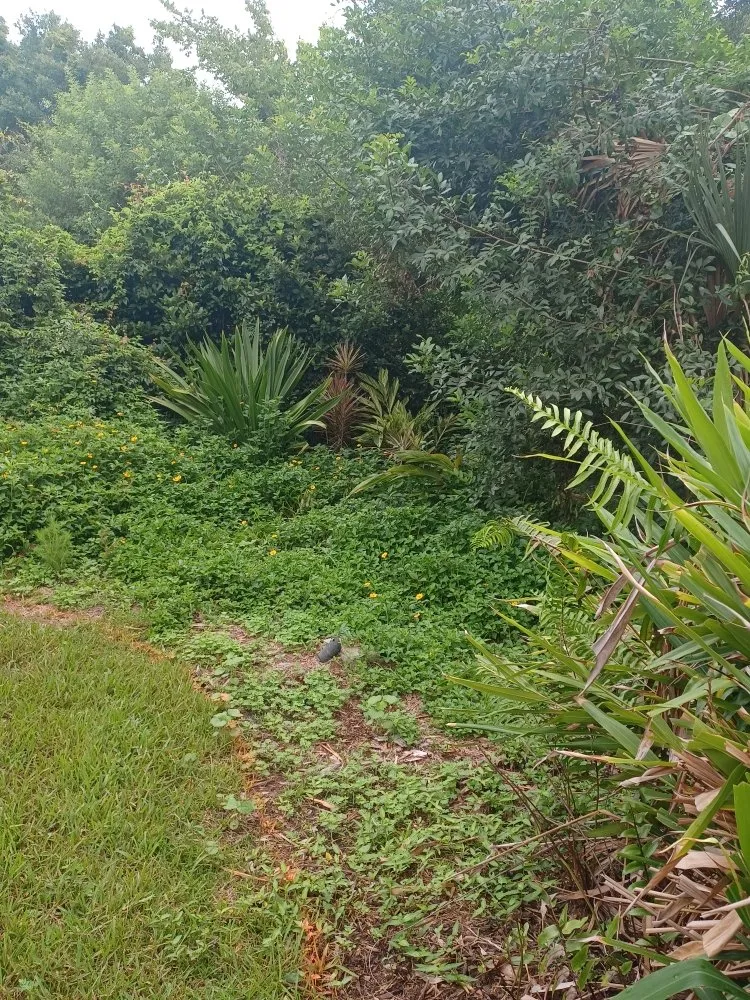 Reliable lawn care service for outdoor upgrades in Arcadia, FL by Eco Land Scapers