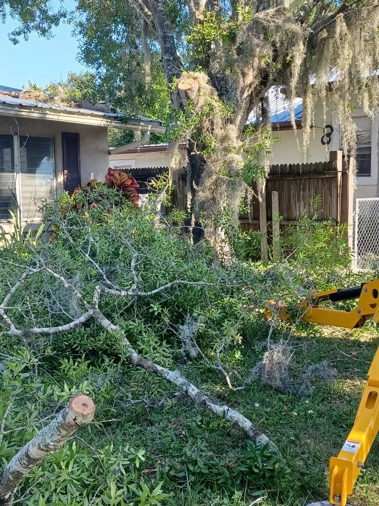 Local lawn care service for year-round maintenance in Arcadia, FL by Eco Land Scapers