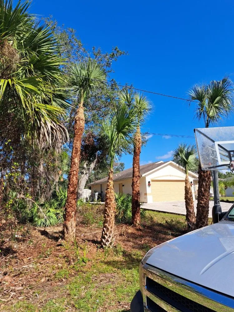 Reliable landscape design in Arcadia, FL - Eco Land Scapers