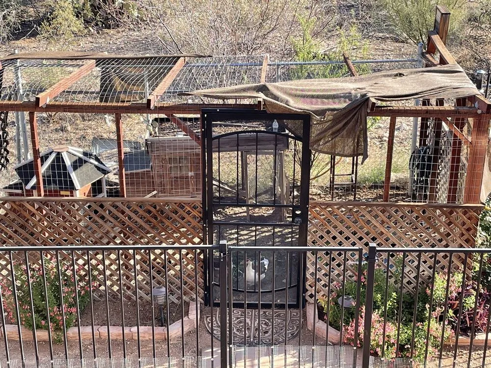 Expert lawn mowing service in Tucson, AZ by Eco Lands