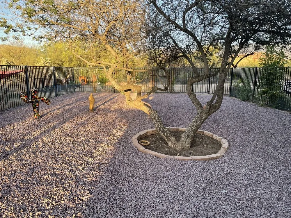 Top-rated lawn mowing service in Tucson, AZ - Eco Lands