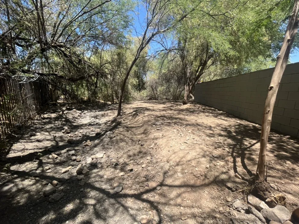 Affordable landscaping services in Tucson, AZ - Eco Lands