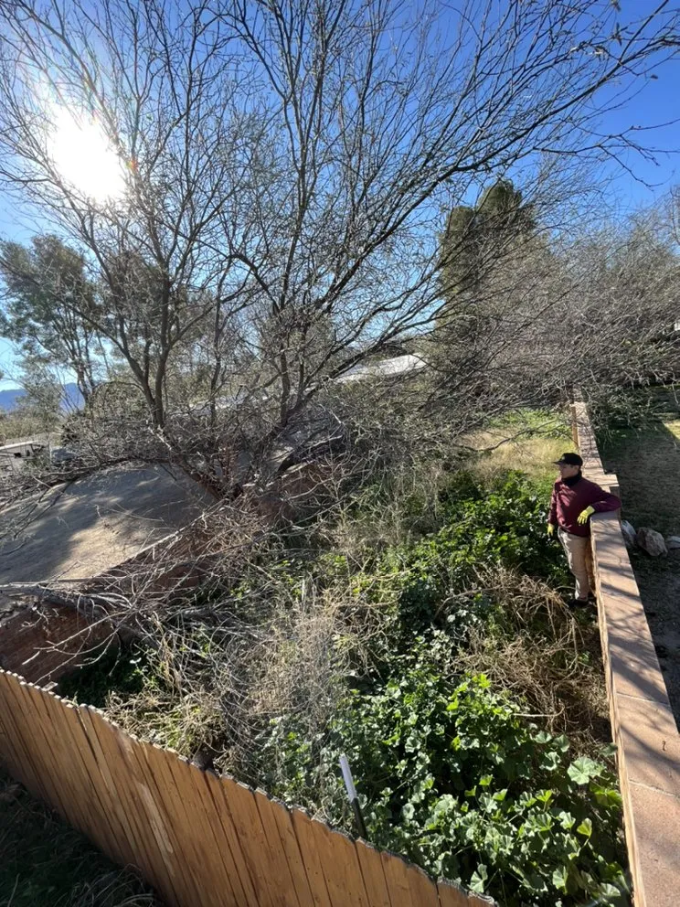 Expert lawn mowing service in Tucson, AZ - Eco Lands