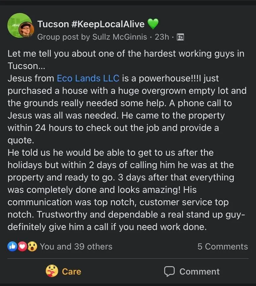 Expert yard maintenance for outdoor upgrades across Tucson, AZ - Eco Lands