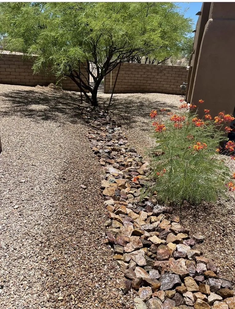 Reliable lawn mowing service experts serving Tucson, AZ - Eco Lands