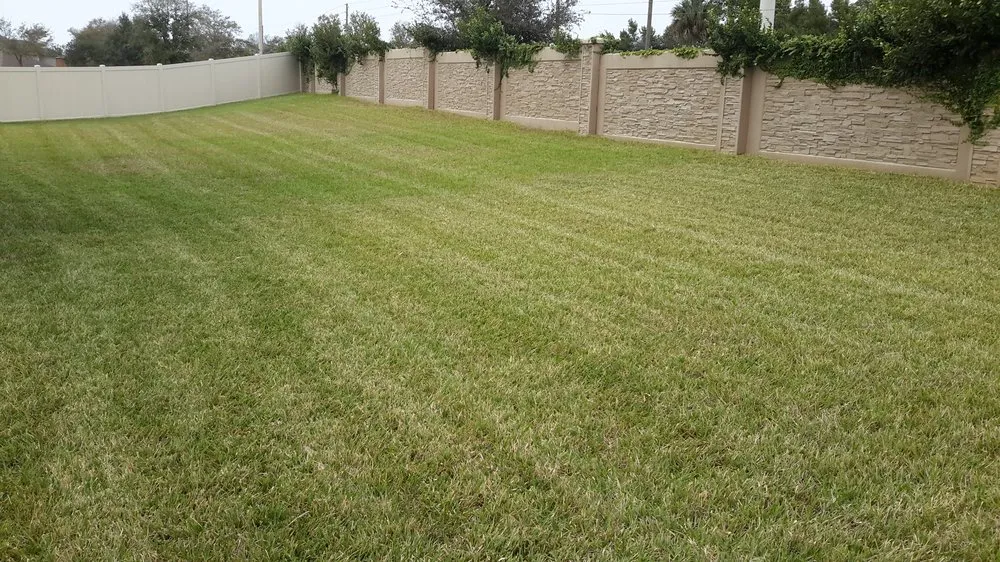Trusted landscape installation for year-round maintenance across Ocoee, FL - ECO LANDSCAPE & TREE