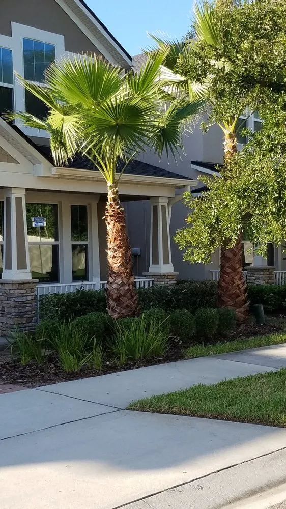 Reliable yard cleanup service in Ocoee, FL - ECO LANDSCAPE & TREE