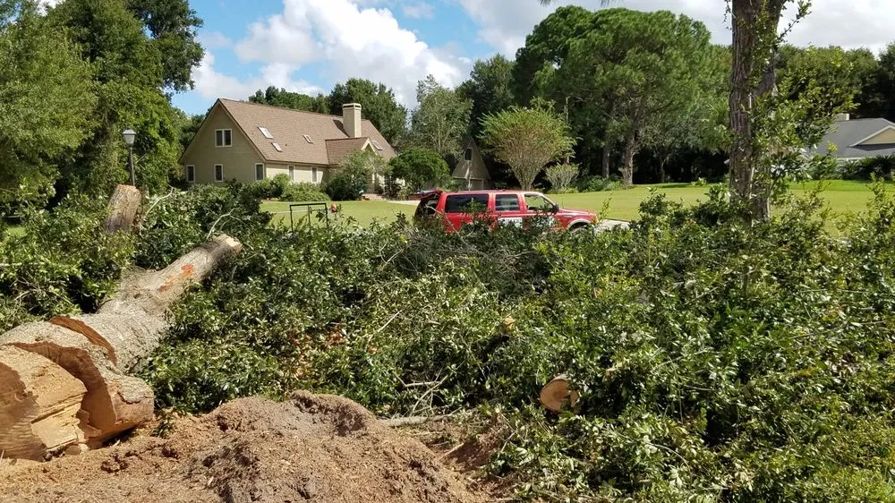 Trusted landscape installation for beautiful yards across Ocoee, FL - ECO LANDSCAPE & TREE