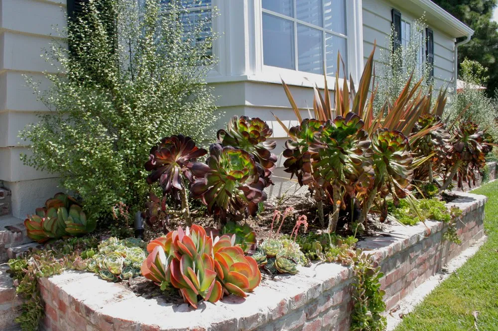 Custom lawn care service for outdoor upgrades in Studio City, CA by Eco Landscape Design and Build