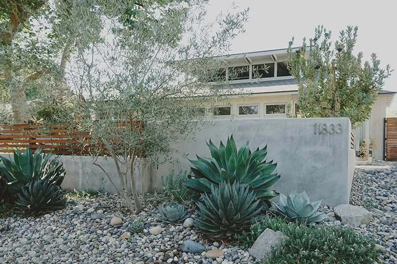 Trusted yard cleanup service in Studio City, CA - Eco Landscape Design and Build