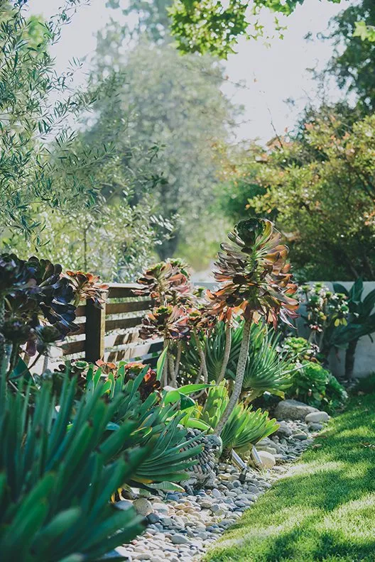 Local outdoor landscaping in Studio City, CA by Eco Landscape Design and Build