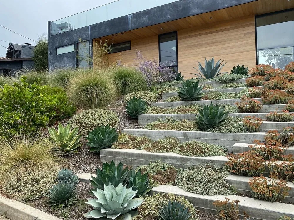 Expert landscaping services in Studio City, CA - Eco Landscape Design and Build