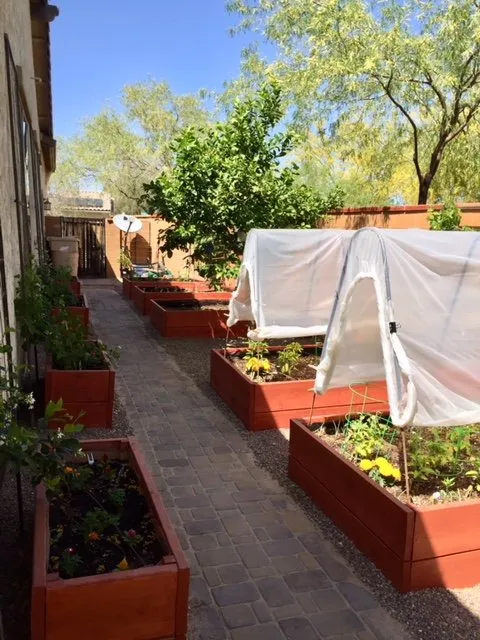 Expert landscape design for outdoor upgrades in Surprise, AZ by Eco Landscape