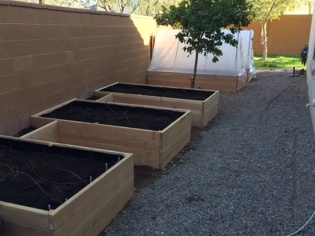 Professional outdoor landscaping experts serving Surprise, AZ - Eco Landscape