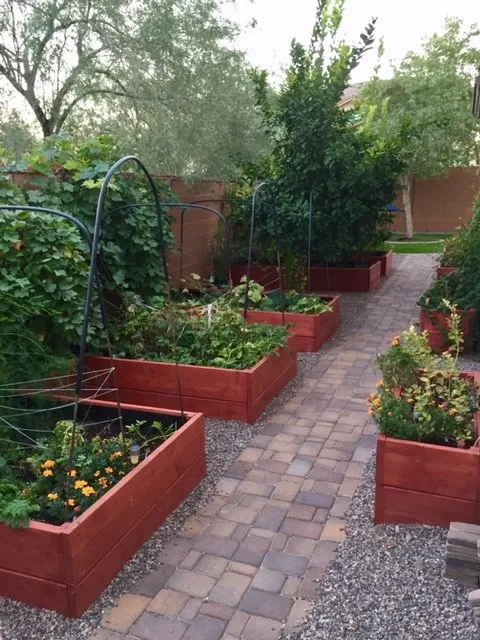 Affordable yard cleanup service experts serving Surprise, AZ - Eco Landscape