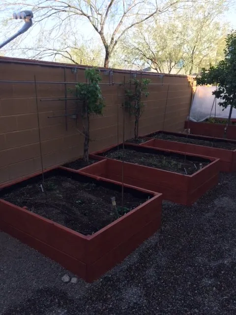 Affordable landscaping services near you in Surprise, AZ by Eco Landscape