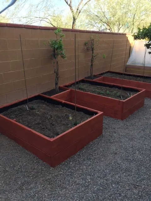 Trusted yard cleanup service for year-round maintenance across Surprise, AZ - Eco Landscape