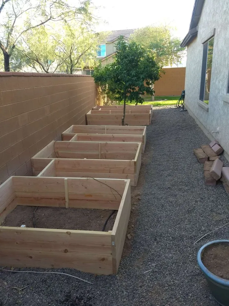 Top-rated landscaping services in Surprise, AZ - Eco Landscape