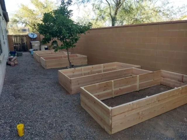 Affordable garden landscaping in Surprise, AZ by Eco Landscape