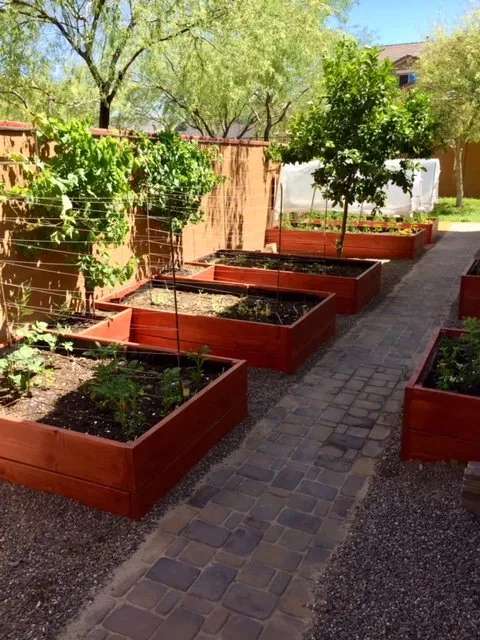 Trusted lawn care service for homes across Surprise, AZ - Eco Landscape